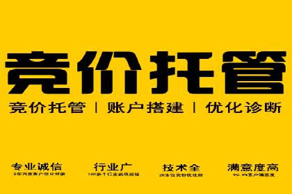 竞价SEM实战案例：旅游行业广告投放策略